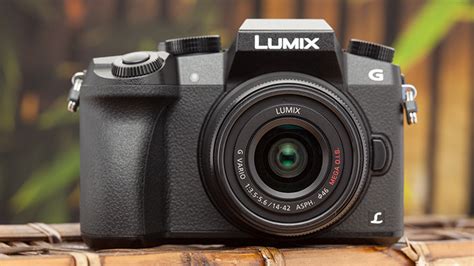 9 Best Dslr Cameras For Beginners A Complete Guide Nokishita Camera 9 Best Dslr Cameras For Beginners A Complete Guide Nokishita Camera