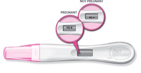 First Response Digital Pregnancy Test Instructions