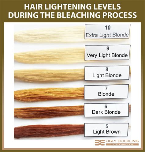 Vero Hair Color Chart Whats The Difference Between 10 20 And 30 Vero Hair Color Chart Whats The Difference Between 10 20 And 30